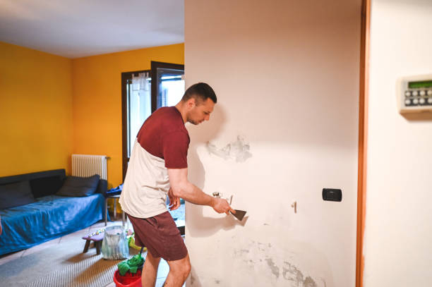 Best Certified Mold Removal  in Lansdowne, MD